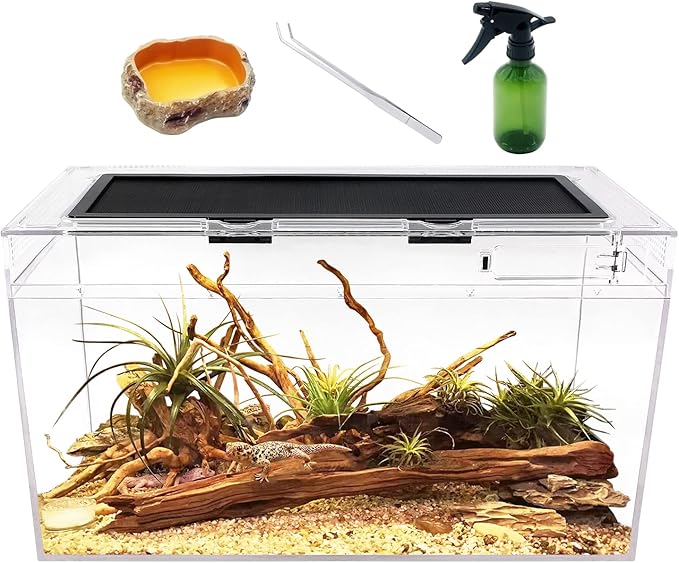 Reptile Growth Reptile Terrarium,10 Gallon Reptile Tank 20" x 10"x 11",for Insect，Fish，Tarantula，Hermit Crab，Jumping Spider，Iguana，Tortoise，Leopard Gecko，Bearded Dragon