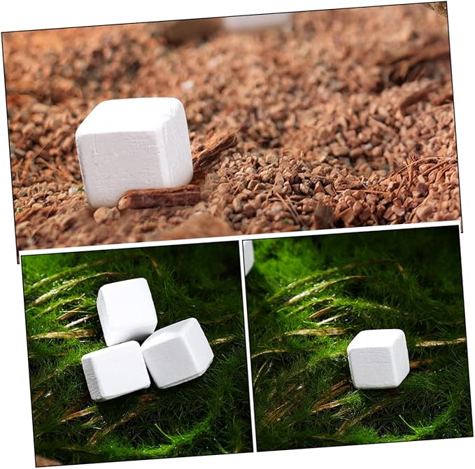 BESPORTBLE 30pcs Natural for Reptiles and Amphibians and Growth for Tortoise Turtle Lizard Frog and Chameleon Enrich Water Quality and Strengthen Immunity