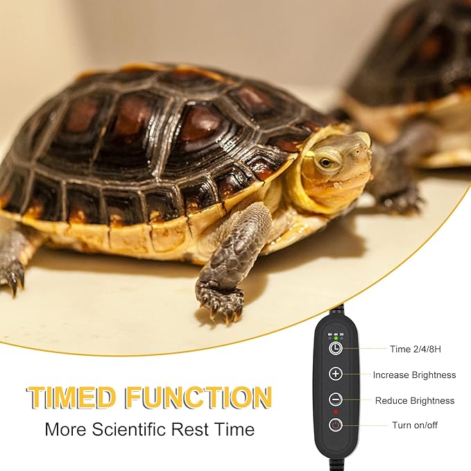 Dallfoll Reptile Heat Lamp, UVA UVB Reptile Timing Heat Lamp, with 360°Rotatable Swivel and Clamp, Heating Lamp for Turtle, Lizard, Bearded Dragon