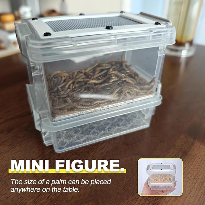 Mealworms Breeding Kit,to Breed Live Mealworms,Mealworm Feeder with Tweezers and Wheat Bran Bedding