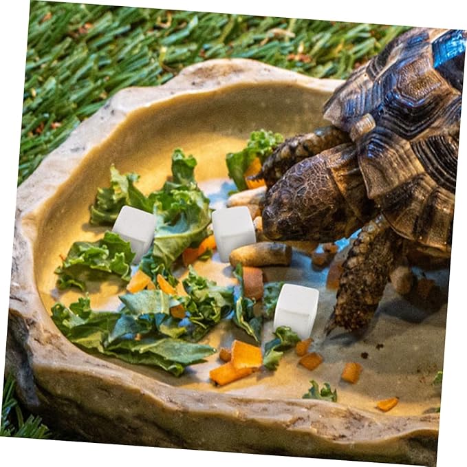 BESPORTBLE 30pcs Natural for Reptiles and Amphibians and Growth for Tortoise Turtle Lizard Frog and Chameleon Enrich Water Quality and Strengthen Immunity