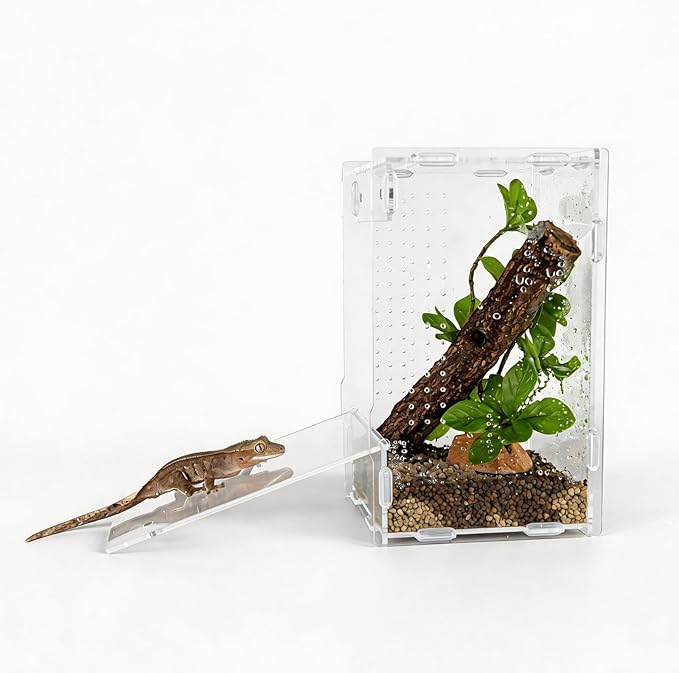 5x5x8 Reptile Tank – Acrylic Reptile Enclosure Terrarium for Crested Gecko, Lizards, Spiders & Snakes – Clear Lizard Habitat Terrarium