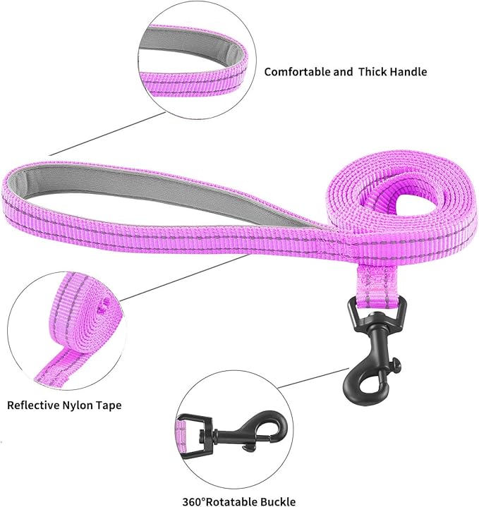 Hipubby Dog Harness and Leash Set, No Pull Soft Mesh Puppy Harness for Small Medium Dogs, Cats - Step in Reflective Breathable Lightweight Vest Harness for Walking, Training - Purple, XXS