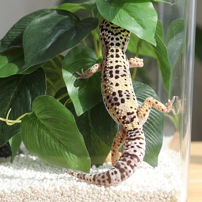 Artificial Reptile Terrarium Plants, Artificial Plant for Terrarium Fake Reptile Plants for Terrariums Plant with Suction Cup Habitat Accessories