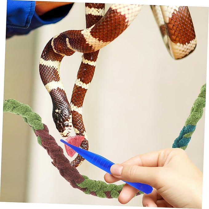 ORFOFE 6pcs Reptiles Feeding Tweezer Set Plastic Feeding Clamp for Lizards and Frogs Curved and Straight Design for Easy Handling of Reptile Food