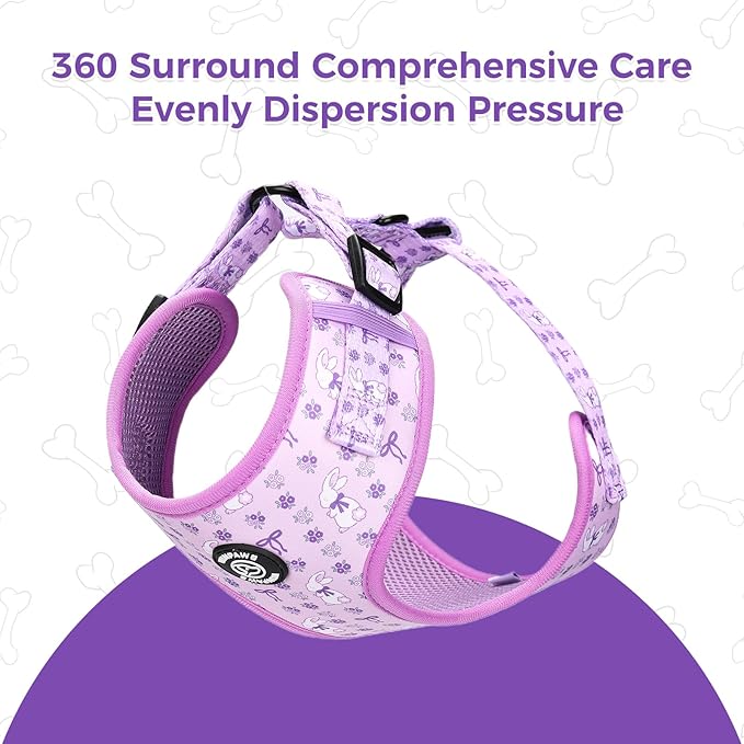 Dog Harness and Leash Collar Set with Dog Poop Bag Holder and Bandanas, Escape Proof Adjustable Puppy Cat Vest with Soft Mesh Padded, Pet Supplies for Small Medium Large Dogs Kitten(Purple, XS)