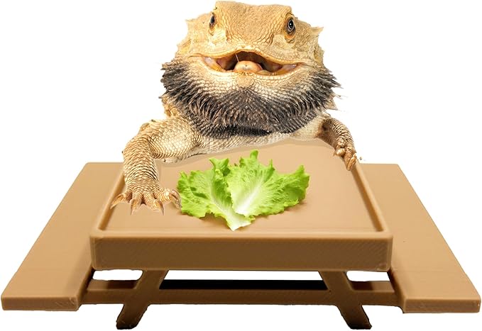 Picnic Table Dish for Bearded dragons | Greens dish for small reptile | Beardie decor