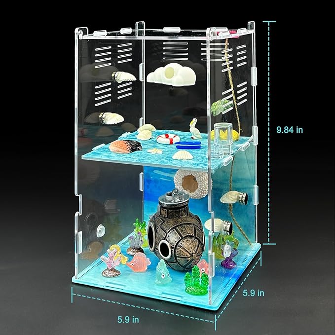 Jumping Spider Enclosure,DIY Insects Habitat,Small Reptile Terrarium Glass House Accessories Set,with Temperature and Humidity Detector Water Feeder Platform Hide,5.5“x5.5”x9.5“ (Ocean)