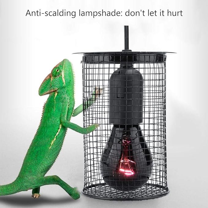 Amphibians Anti Scald Protector Lamp Covers for Heating Light Reptile Heater Guard Heating Bulb Lamp Enclosure Cage Metal Protector