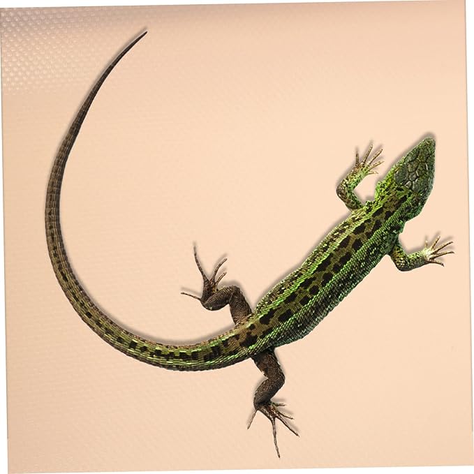 Crawling Carpet for Reptiles Bearded Dragon Tank Accessories Snake Bedding Liner Washable Mat