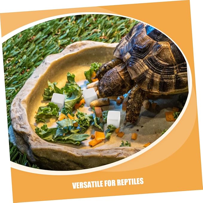 Sosoport 30pcs Reptile Mineral Rocks: Amphibian Health Products for Turtle Tortoise Frog Lizard Chameleon Supports Care Improves Immunity