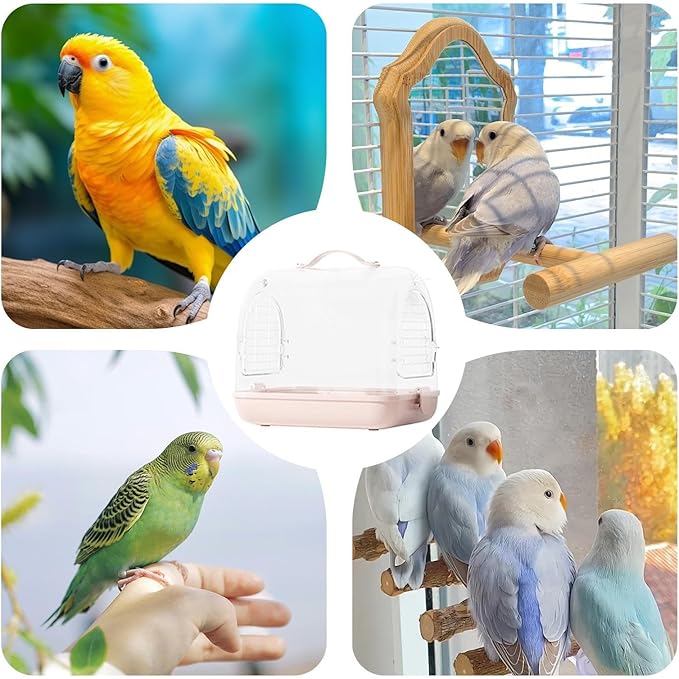 Clear Transport Carrier - Pet Bird Backpack, Lightweight Bird Tote | Ventilated Conure Travel Bag, Removable Parakeet Crate, Travel Accessory for Lovebirds