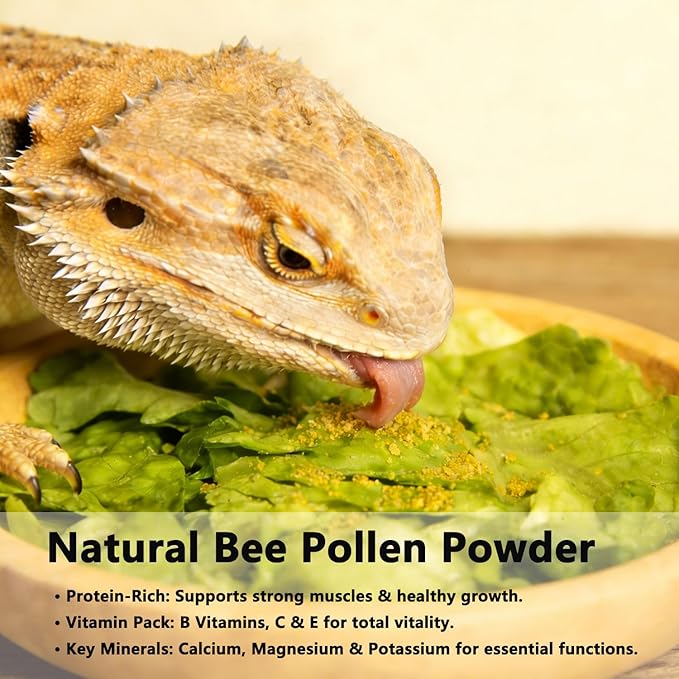 Accretion Bee Pollen for Bearded Dragons, 8oz (Granules), Natural Reptile Supplement for Lizards, Geckos, Turtles, Digestive and Immune Health Support, Easy to Feed