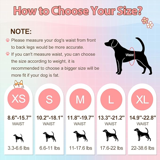 Ambreview Disposable Dog Diapers Female, Just Pull It Up, Doggie Diapers for Female Dogs, Strong Absorbency | Leak Proof, for Dogs in Heat | Elderly | Disabled, S 30 PCS