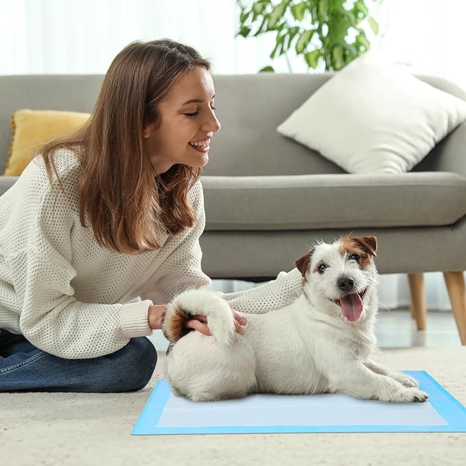 Super Absorbent Waterproof Dog and Puppy Pet Training Pad, Housebreaking Pet Pad, 100-Count Extra Small-Size, 17’’X23.6’’, Blue (Pack of 2)