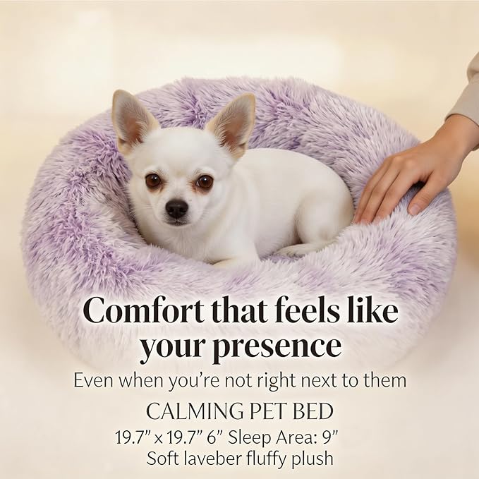 Calming Donut Dogs Beds for Small Dogs Washable,19inch Fluffy Round Puppy Bed for Puppies,Cats & Toy Breeds with Raised Rim,Fits up to 15 lbs Pets,Gradient Purple