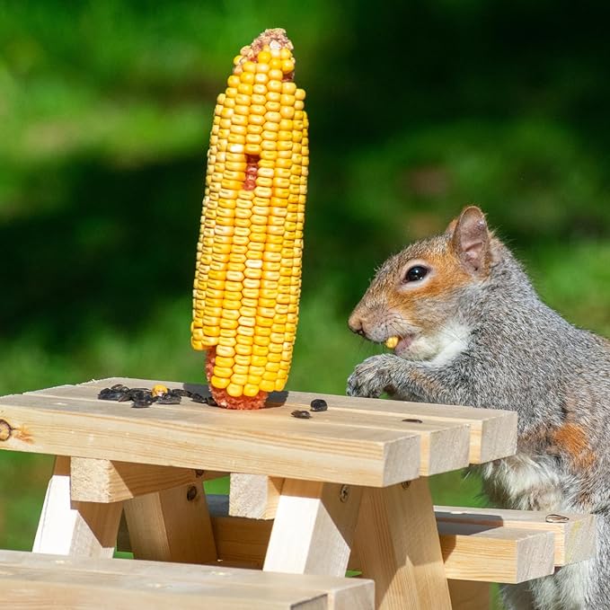 Wildlife Treats,Ear Corn Kernels, Hand Packed Boxes, Squirrel Food, 10 Pound (Pack of 1), Yellow