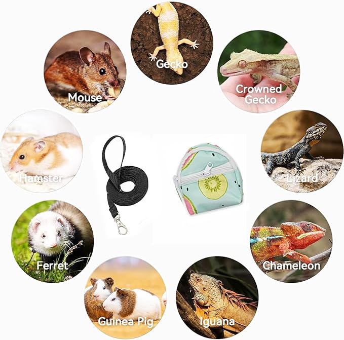 Bearded Dragon Backpack Carrier,Reptile Portable Backpack Carrier with Small Backpack Harness Leash Set,Space Capsule Clear Bubble Window Travel Backpack for Lizard Travel,Guinea Pig,Rabbit