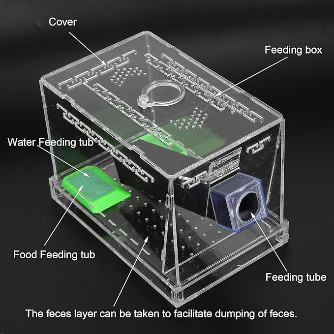 Acrylic Cricket Keeper Pen with Feeding Tubes, Transparent Observation Box, Ventilated Design, Removable Lid for Reptile Tank, Cockroach Breeding