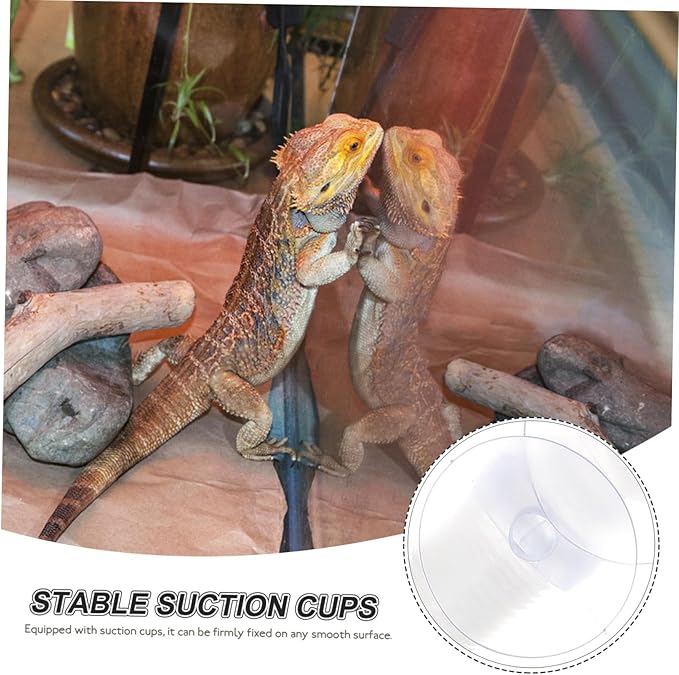 1set Reptile Humidifier Accessories Flexible for Reptiles and Amphibians Includes Cups Safe Material for Terrariums and Containers