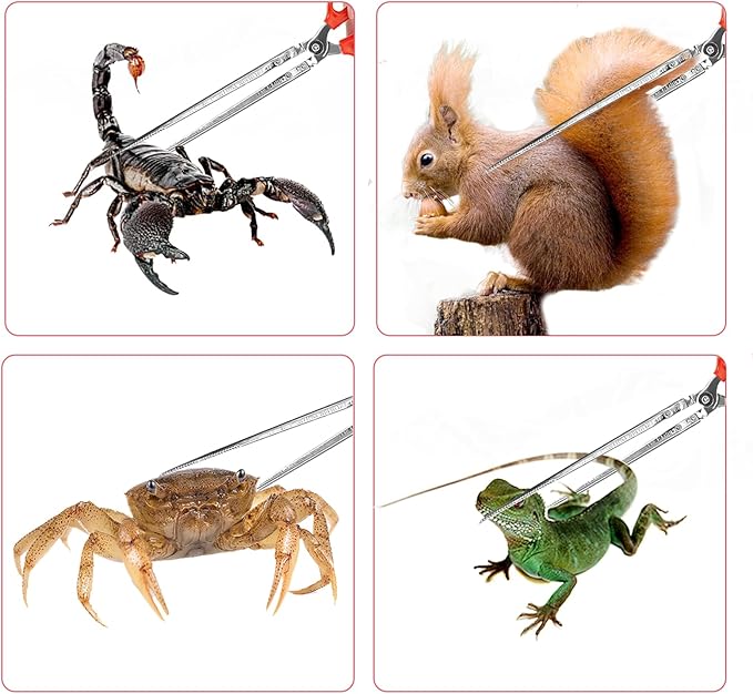 15 Inch Snake Feeding Tongs, Reptile Feeding Tongs,Snake Grabber Tool Stick Reptile Tongs for Lizard Reptiles,Snakes,Tank Accessories Terrarium Supplies (Straight Head)