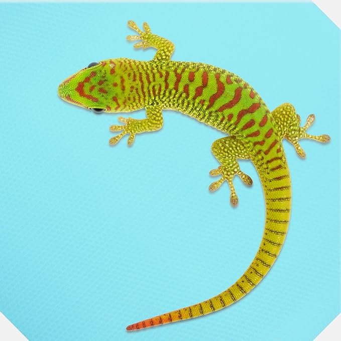 MERRYHAPY Non-Slip EVA Reptile Carpet Mat for Terrarium Bedding Fit Substrate Liner for Bearded Dragon Lizard Snake Tortoise Tank Accessories Blue Pattern