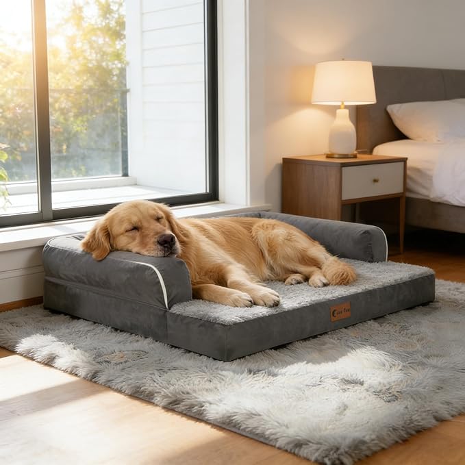 Orthopedic Dog Beds for Extra Large Dogs, Waterproof Egg Crate Foam XL Dog Bed with Sides 41x27Inch, Washable Big Dogs Couch Beds with Removable Cover and Nonskid Bottom, Dark Grey
