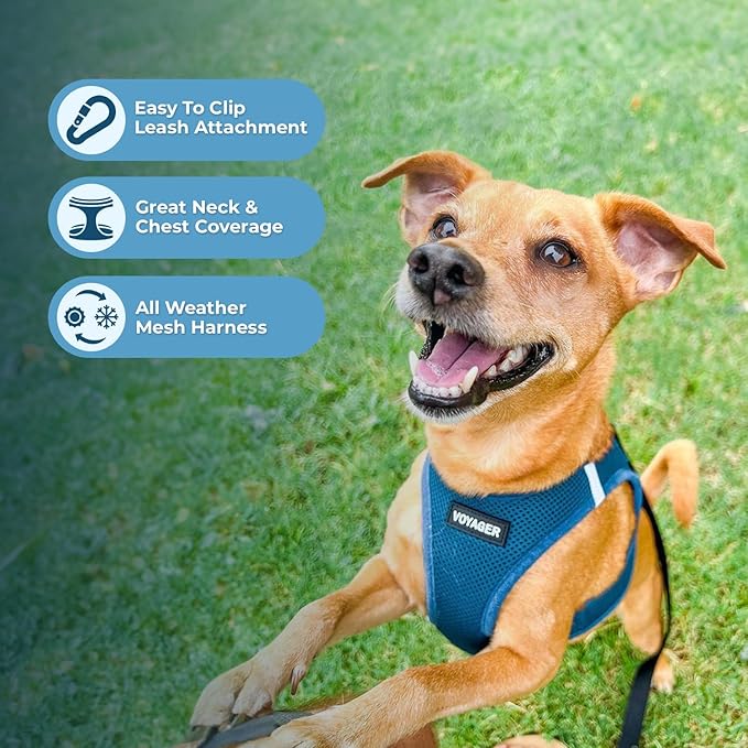 Best Pet Supplies Voyager Step-in Air All Weather Mesh Harness and Reflective Dog 5ft Leash Combo with Neoprene Handle, for Small, Medium and Large Breed Puppies - Set (Turquoise), X-Large