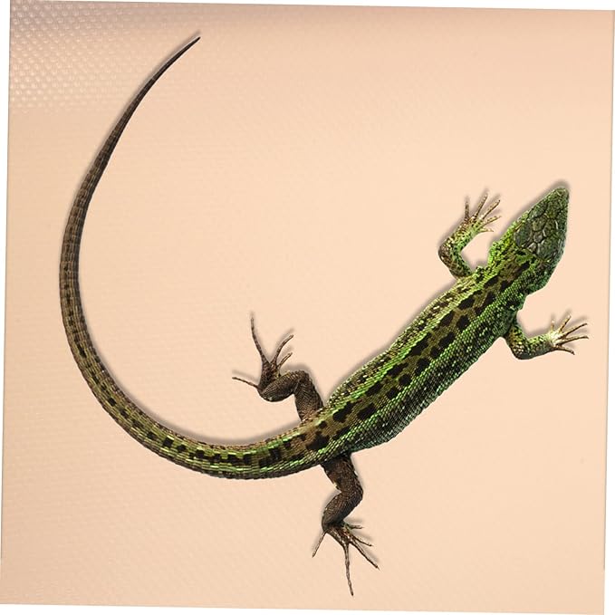 Yardwe Crawling Carpet for Reptiles Tortoise Bedding Lizard Tank Accessories Eva Mat Portable