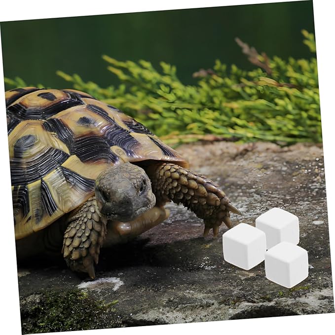 ORFOFE 12pcs Reptile Natural for Reptile Habitat Teeth Maintenance and Chewing Prevention for Various Pets Like Lizards and Crabs