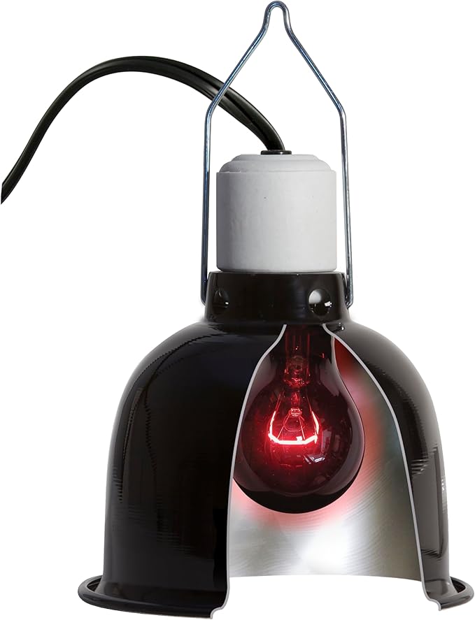 Zoo Med Nightlight Red Reptile Heat Bulb, 25 Watts