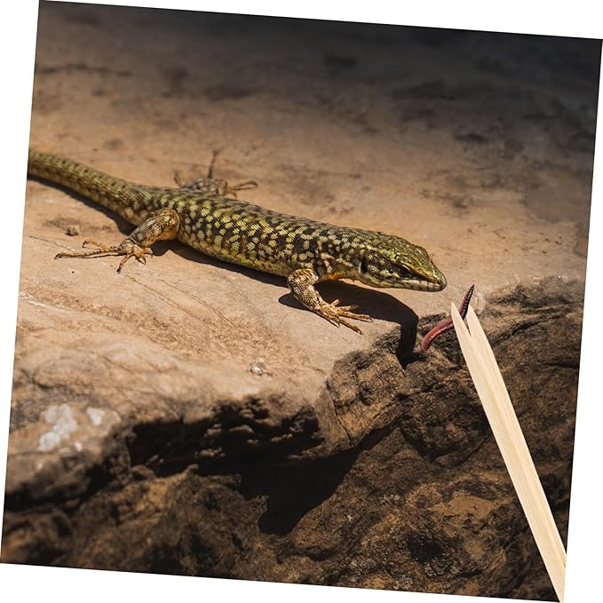 balacoo Bamboo Tweezers for Reptiles Lightweight Feeding Tool for Lizards and Turtles Flexible Design for Safe and Convenient Use Durable Feeding Clip for Terrarium Care