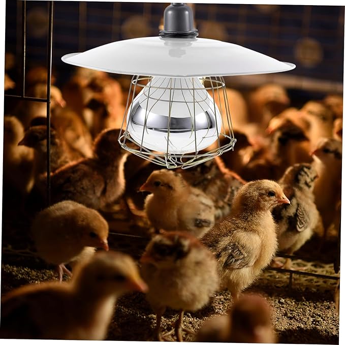 Kisangel Livestock Heat Lamp for Pigs and Poultry Heating Lamp for Safe and Heat Preservation Easy Install and Design for Reptiles and Pets