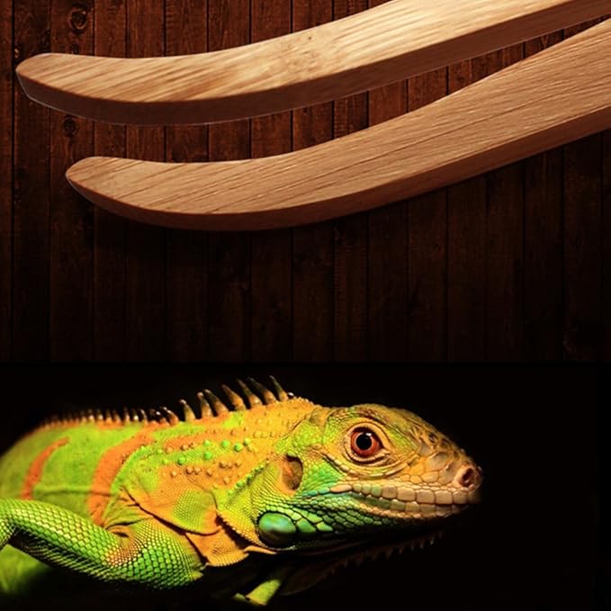 Feeding Tweezers Poop Tools Pet Animal Feeding Supplies for Amphibians Aquariums Amphibians Health Turtle for