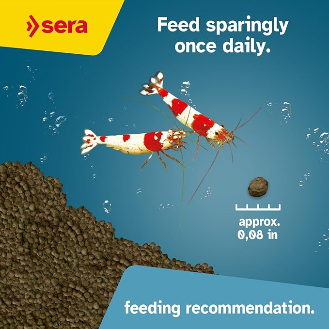 Sera Shrimp Granules, 1.9 oz I Premium Shrimp Food with spirulina & Alder Cones | Provides Healthy Growth, molting & Fertility | No Dyes or preservatives | Ideal for Fresh & Marine Water Shrimps