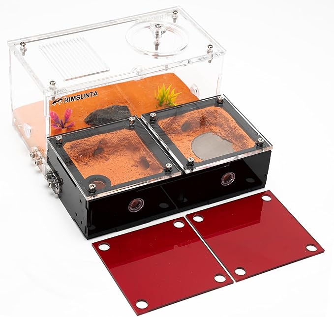 Terra Core Expandable Dual Chamber Formicarium Ant Nest with Starter Kit