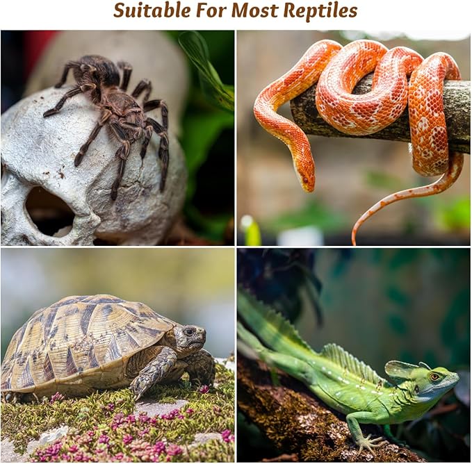 6Pcs Plastic Reptile Tank Lid Locks - Secure Adhesive Escape Prevention Clips for 10 40-120 Gallon Terrarium, Snake, Turtle, Gecko, Lizard Enclosure, Fish Tank Aquarium Lid Latches, Mesh Scree