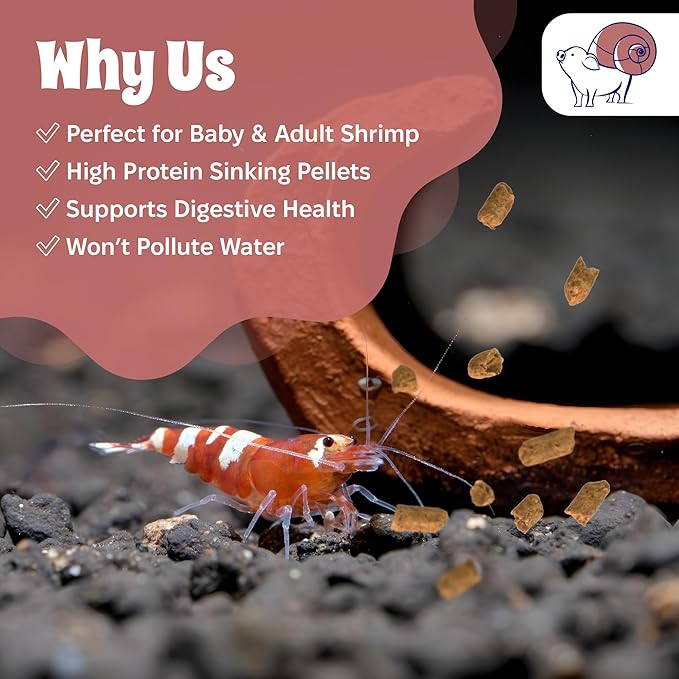 Snout and Shell Snowflakes Shrimp Food - High Protein Sinking Soy Pellets for Tropical Freshwater, Caridina, Neocardinia Shrimp & More | 3.5oz/100mg