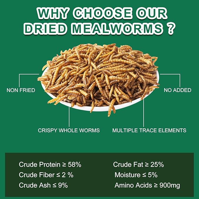 Dried Mealworm for Reptiles - High Protein Reptile Food for Bearded Dragons Turtles, Geckos, Snakes, Frogs Chickens, Birds, Hamsters & Hedgehogs（9oz）
