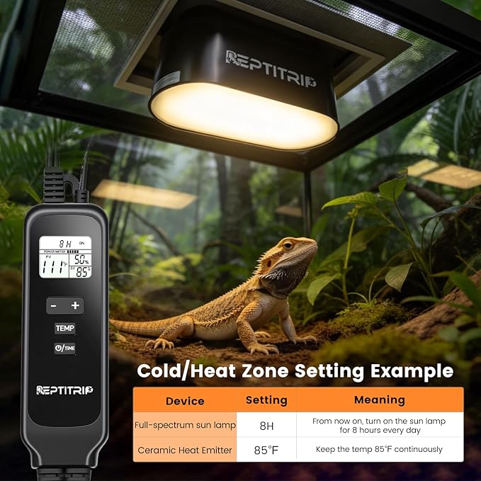 Dual Reptile Light Fixture with Timer & PID Dimming Thermostat, Day-Night Heat & Light Cycle, Heat Lamp for Bearded Dragons Terrariums, Max 160W Per Socket (No Bulbs)