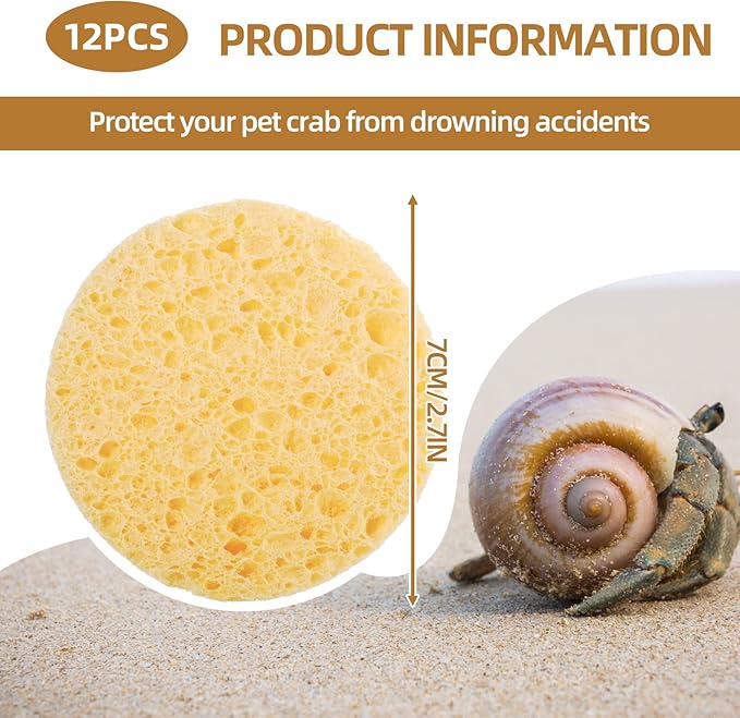 12 Pieces Hermit Crab Sea Sponges - Unbleached Supplies for Maintaining Tank Humidity - Pet Accessories Providing Nutrients