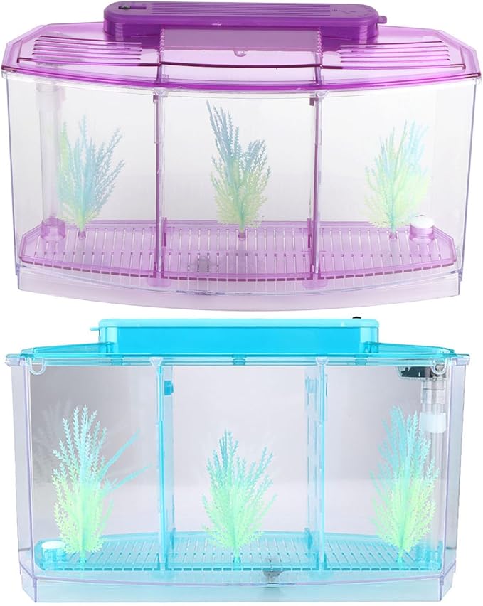 Betta Fish Tank, Adjustable Light Breeding Fish Tank with LED Light,Incubator Mini Fish Tank LED Acrylic Three Divisions Breeding Isolation Box for Small Fishes(Purple)