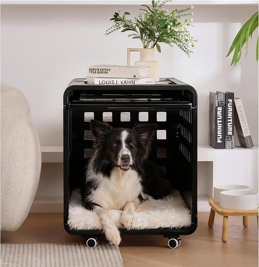 Acrylic Transparent Dog Crate for Large Dogs, Dog Box with Movable Panel, Modular Design-Safe Durable Dog Bed Fashionable & Convenient Black, Semi-Transparent(26.2" L x 20" W x 23.4" H)