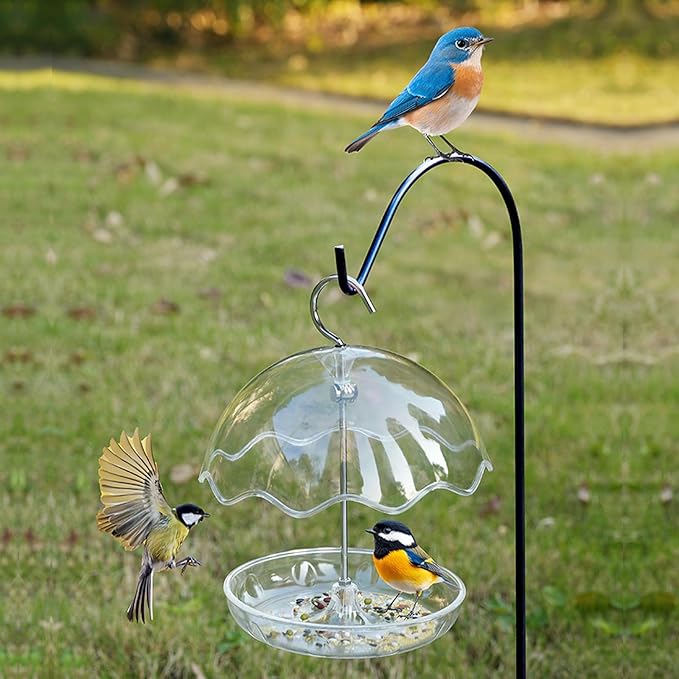Bird Feeder with Metal Hanging Hook Windproof Waterer for Backyard Patios Balcony and Garden Edit Supplier