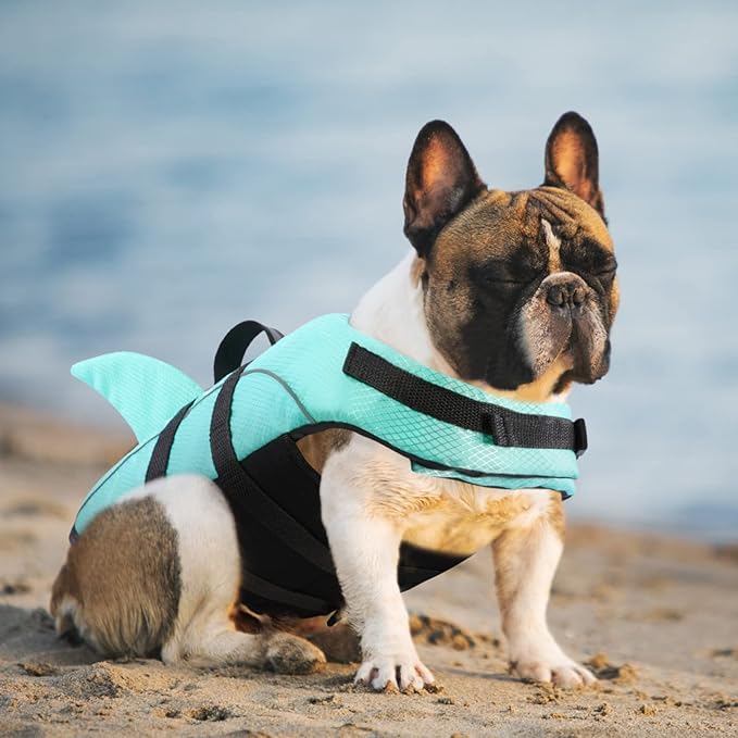Queenmore Small Dog Life Jacket XXS, Puppy Life Jackets for Small Dogs, Little Dog Life Vest for Swimming/Boating, Cat Life Jacket/Life Vest, Lightweight Shark Pet Water Vest with Handle/Leash Hook