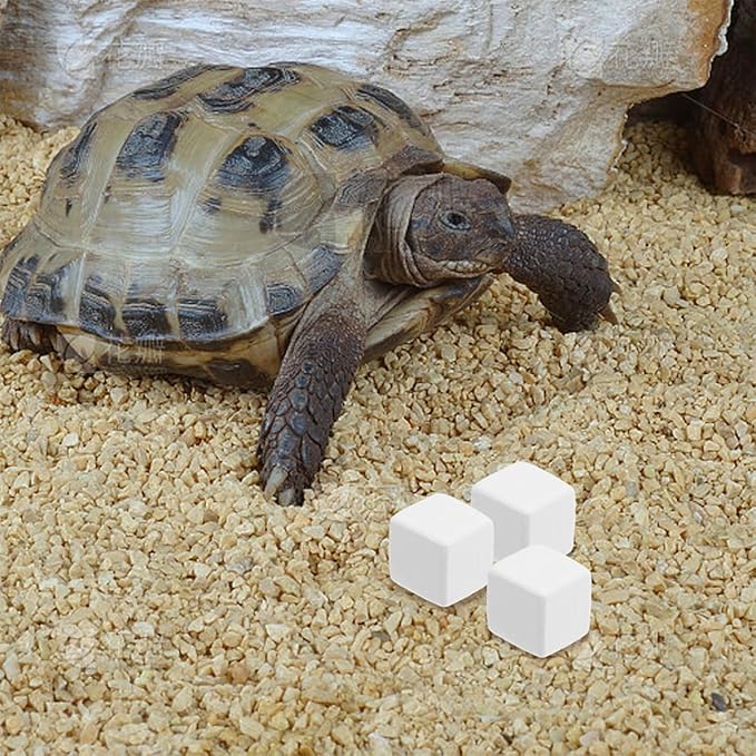 BESPORTBLE 12pcs PET Natural Blocks for Reptiles Supplement for Shell Growth and Health Essential Reptile Accessories for Terrarium Kits