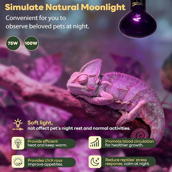 Reptile Heat Lamp, 2 Pack 100W Heat Lamp Bulbs Reptile Night Heat Bulb Basking Light for Bearded Dragon Chameleon Turtle Snake Gecko Lizard Chicken Tank Accessories, Purple