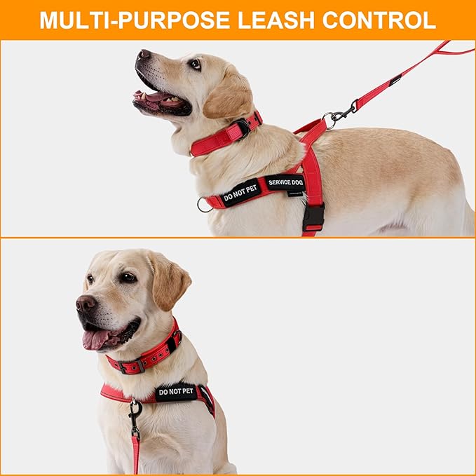 Annchwool No Pull Dog Harness,Heavy Duty Reflective Collar & Leash Set-Leash with Double Handle & Car Seatbelt Clip-Easy Control for Walking Training Medium Large Size Dogs(Red,M)