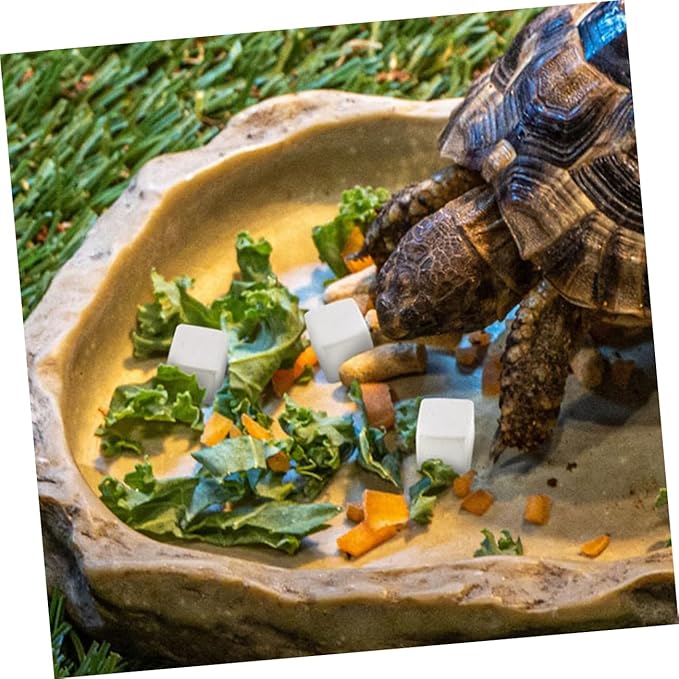 Toddmomy 30pcs Climbing Pet Calcium Block Frog Chameleon Reptiles Amphibian Health Products Frog Chameleon Health Reptiles Turtle Accessories Lizard Mineral White