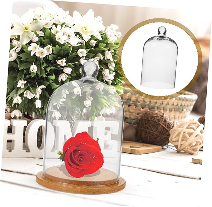 2Pcs Transparent Glass Cloche Cover for Dried Flowers Crafts Design High Visibility for Preserved Flower Display and DIY Terrariums
